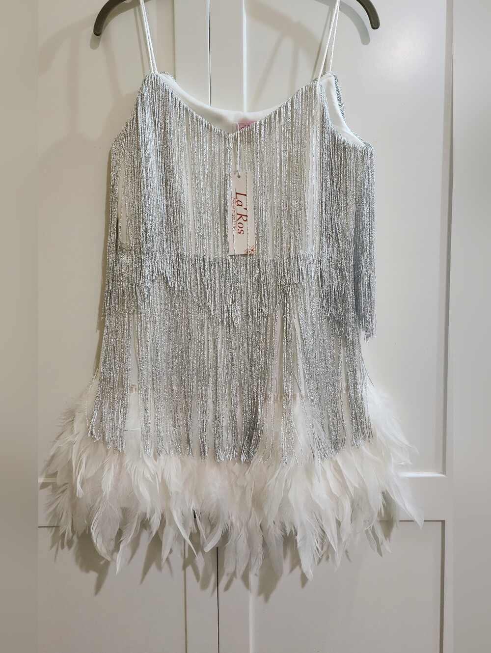 Silver Fringe & Feather Party Dress
